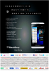 Blackberry Sale